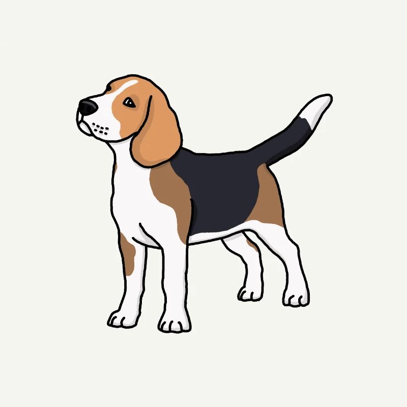 Beagle, Hund, Rasse, Zeichnung, Comic, Hunderasse