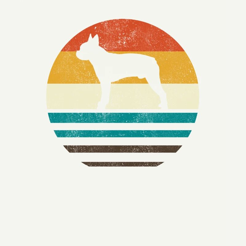 Boston Terrier