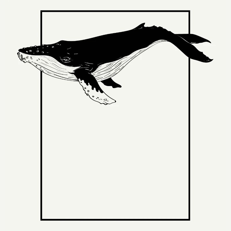 baleine
