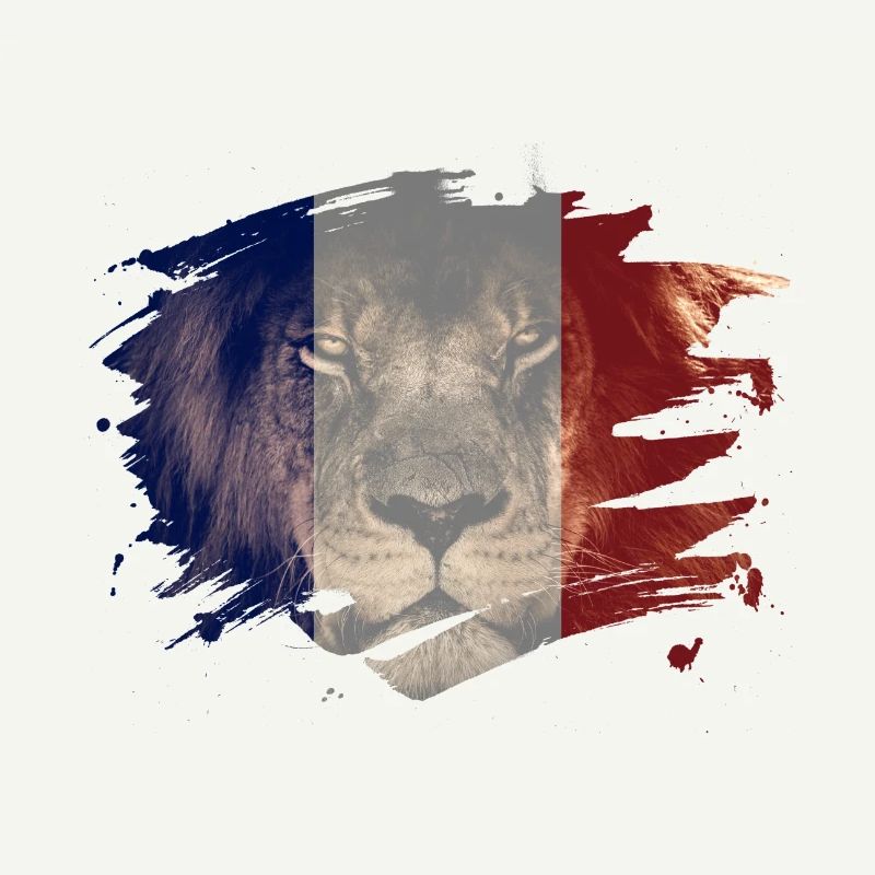 Drapeau france, lion africain, image