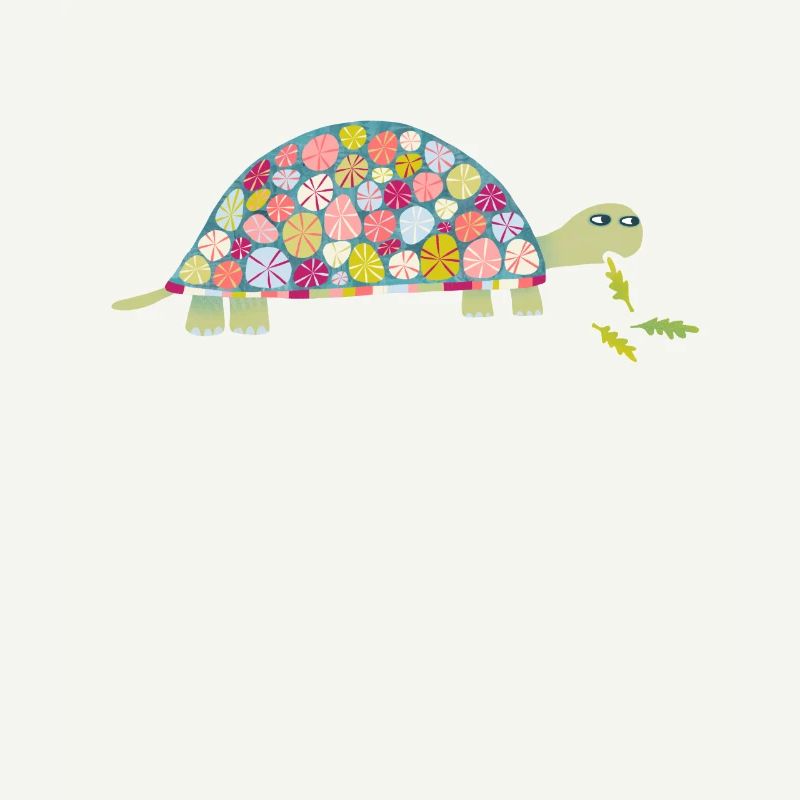 Tortoise
