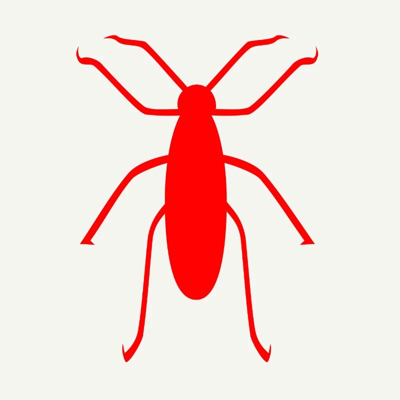 insect