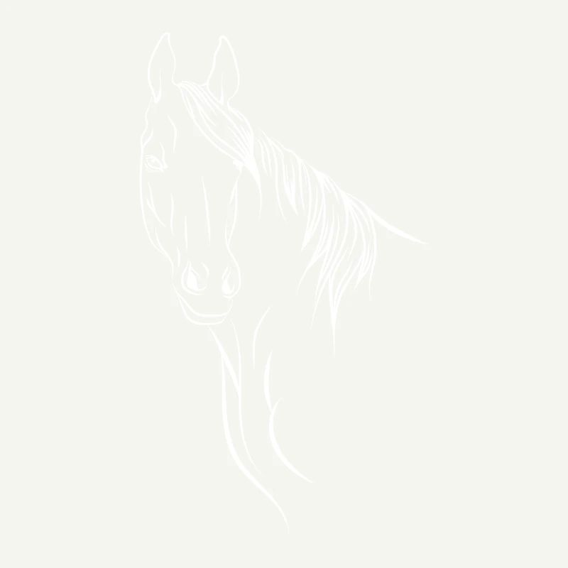 Cheval pour noir.
