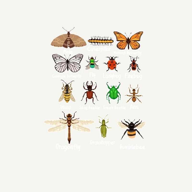 insects