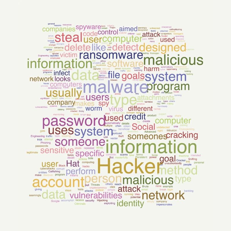 Cybersécurité Programmation informatique