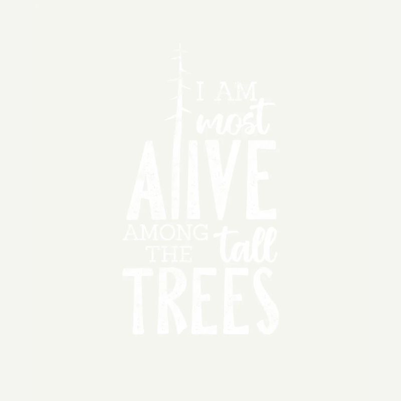 Forêt