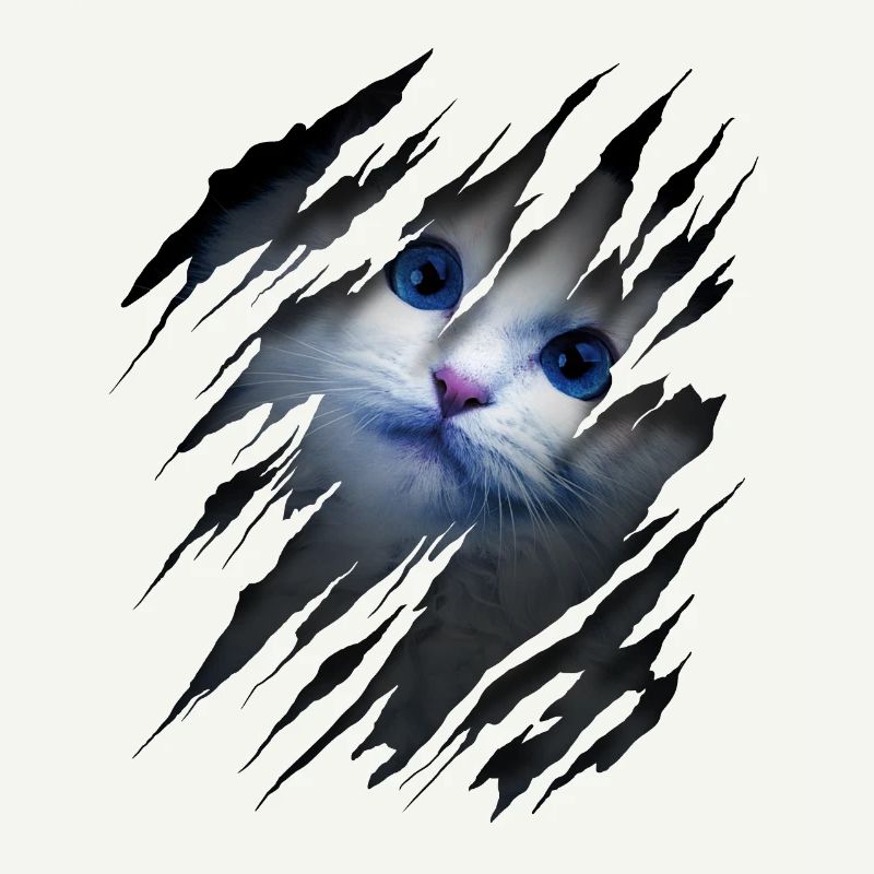Chat avec égratignure - Visage de chat Chat à gratter Chat