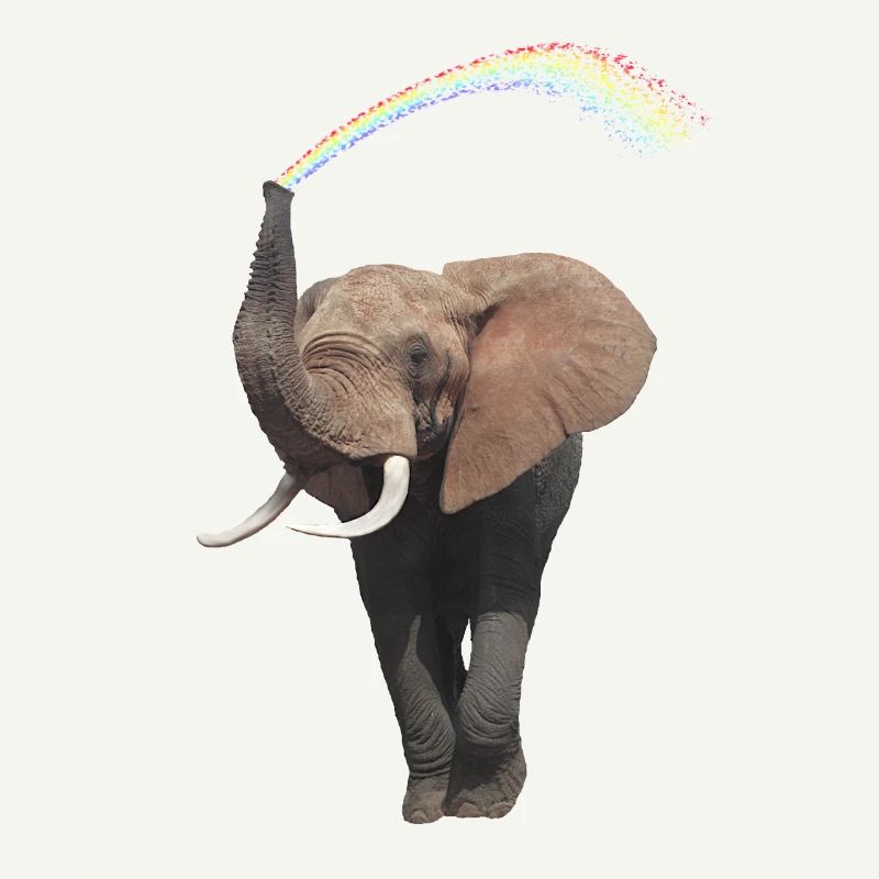 Elefant mit Regenbogen - Eli - Afrika