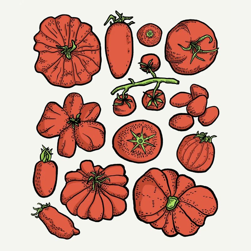 Tomates