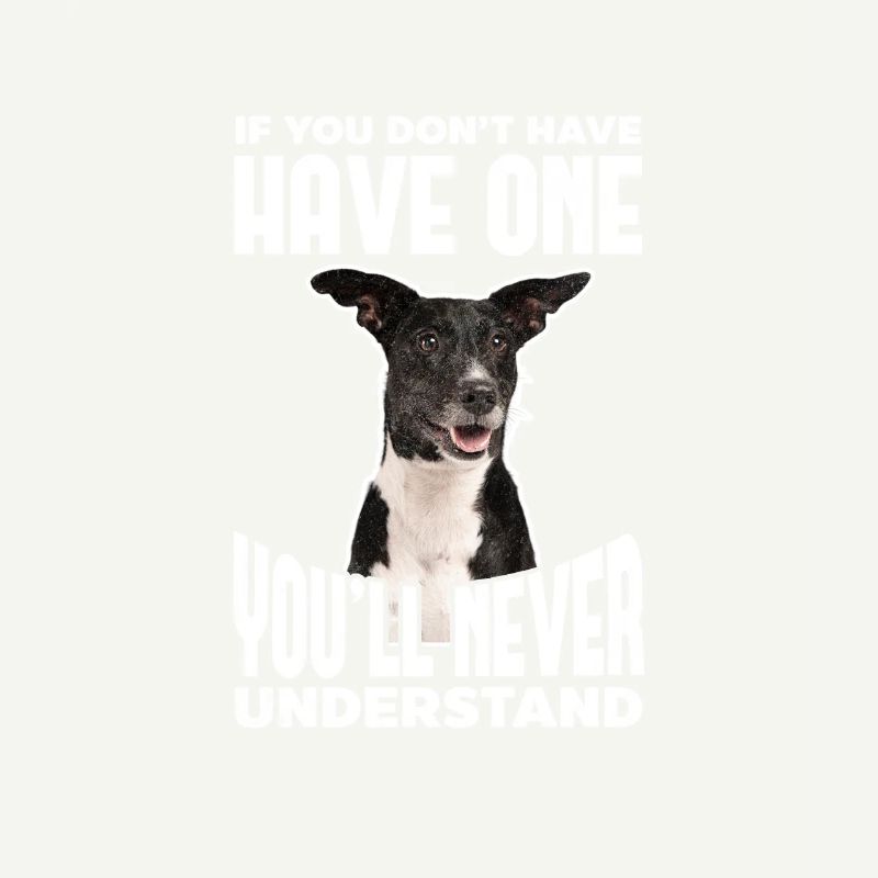 Australian Cattle Dog