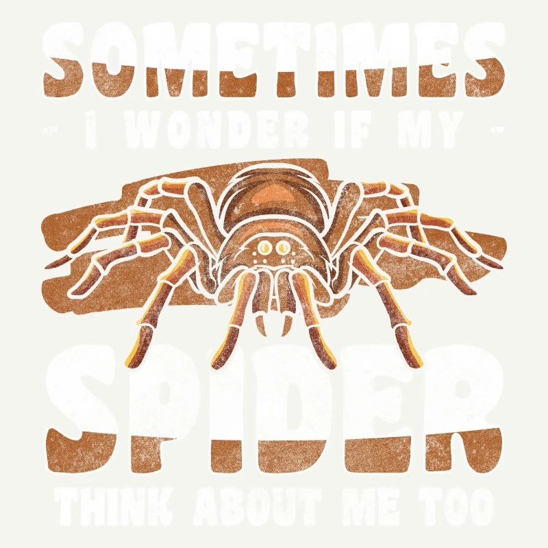 Spiders Pet Hunter Insect