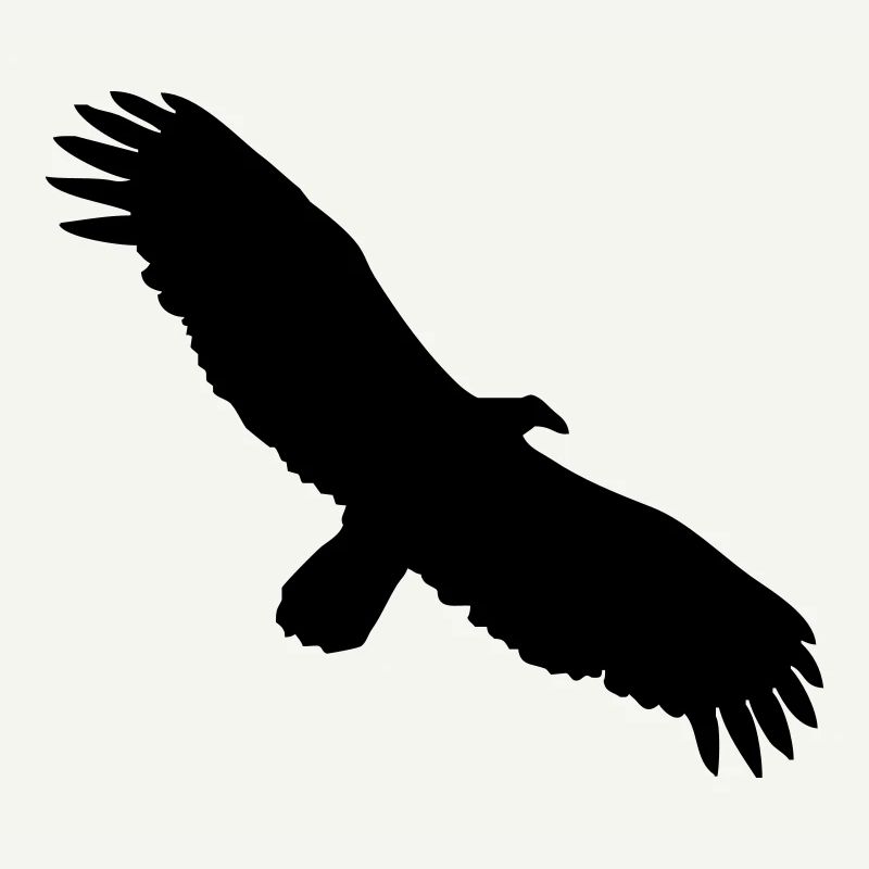 Condor