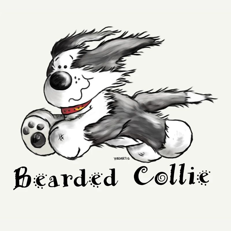 Bearded Collie
