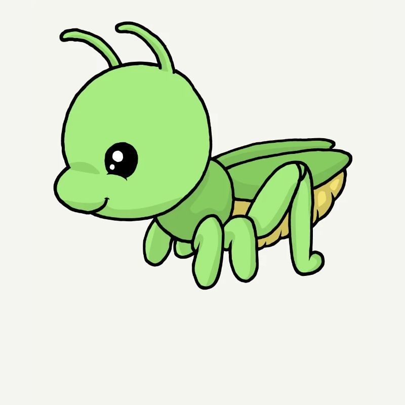 Small grasshopper