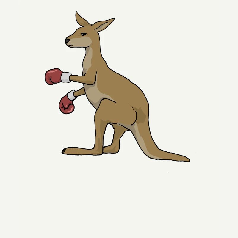 Kangaroo boxing