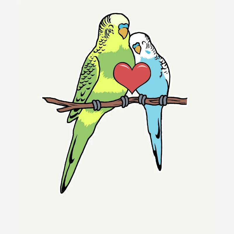 budgerigar
