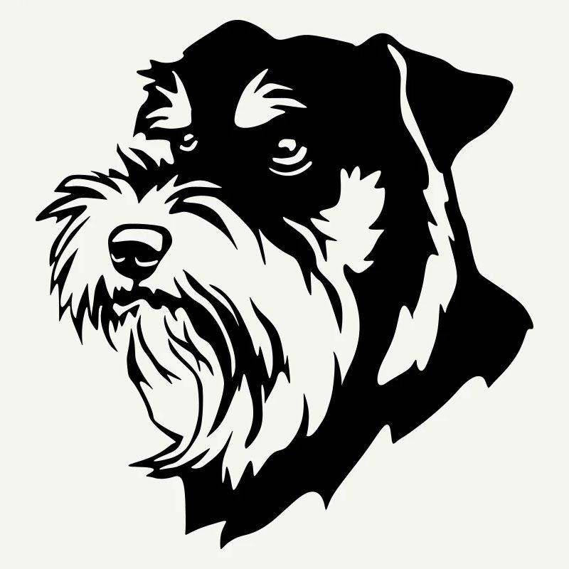 Schnauzer Kopf