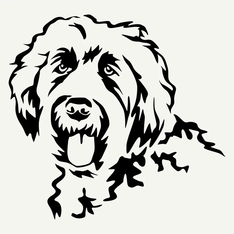Tête Labradoodle