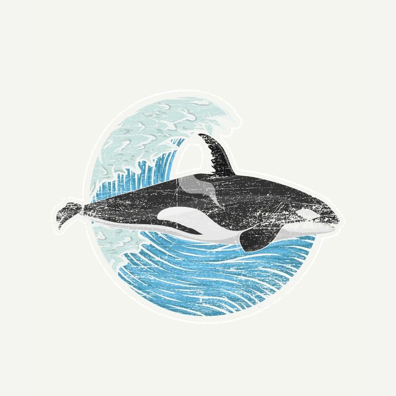 Orca Wal Meer