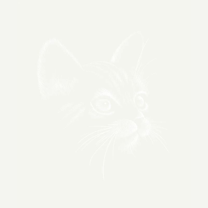 Chat dessiné à la main