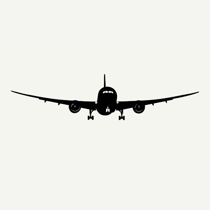 airliner