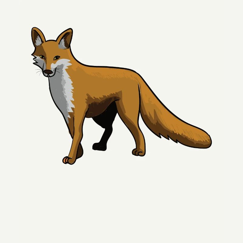 Fox foxes red fox forest animal gift