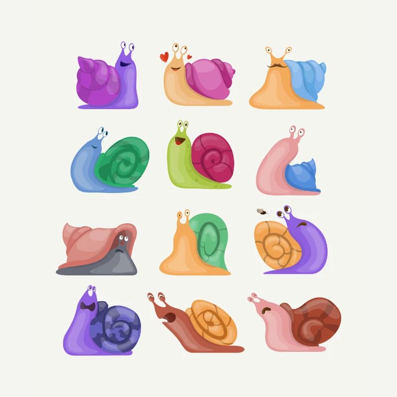 Schnecke Gehäuse Nacktschnecke