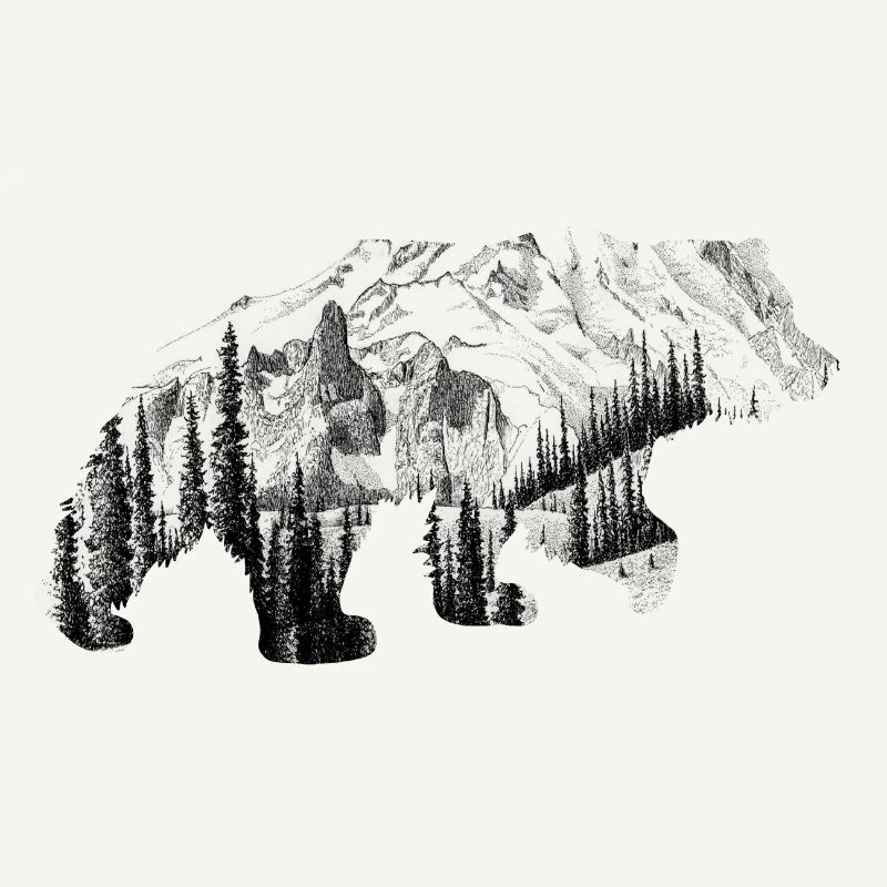 Bear forest