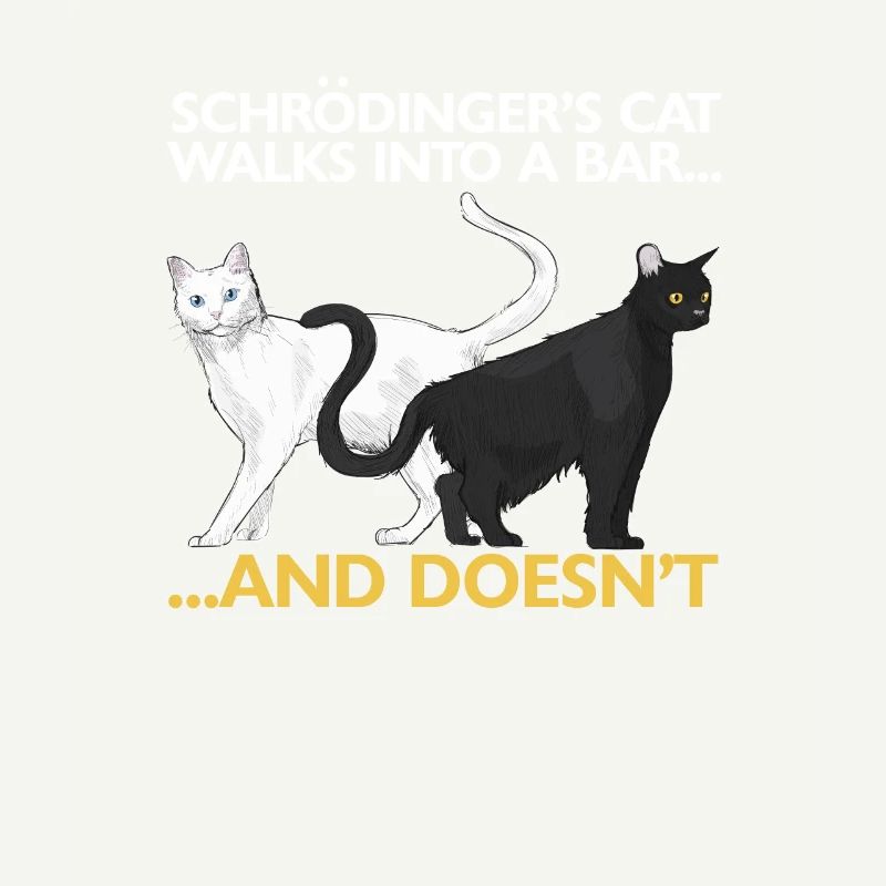 Le chat de Schrödinger drôle de science physique