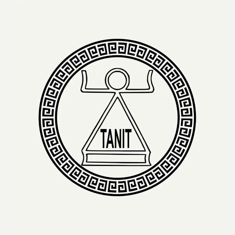 Ancient Carthage Tanit Symbol Carthage Goddess