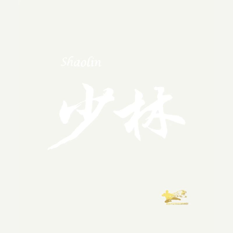 Shaolin Characters Masteryourownway