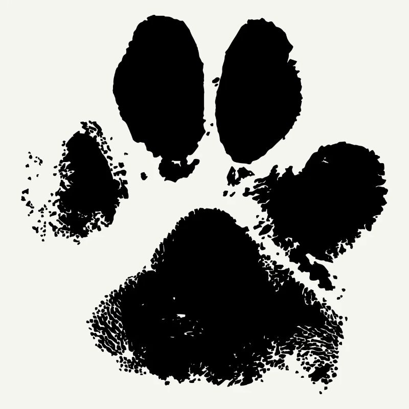 Chien Tate Empreinte de pattes