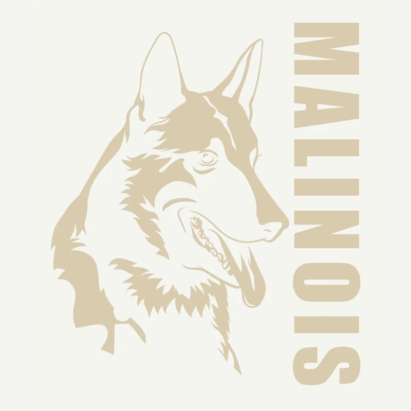 Malinois