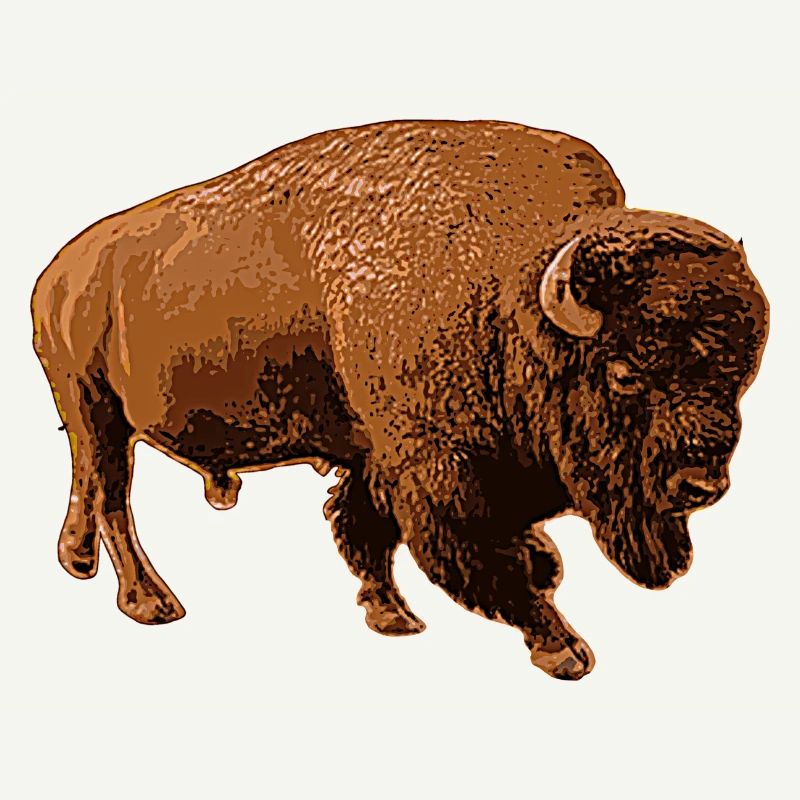 bison