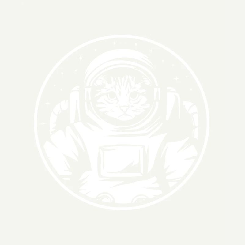 Astronaute Cat Space Espace Catronaut Espace Chat