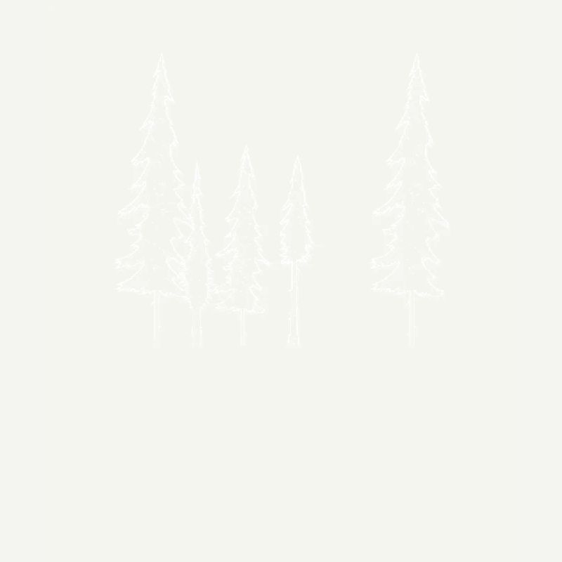 Bäume Wald