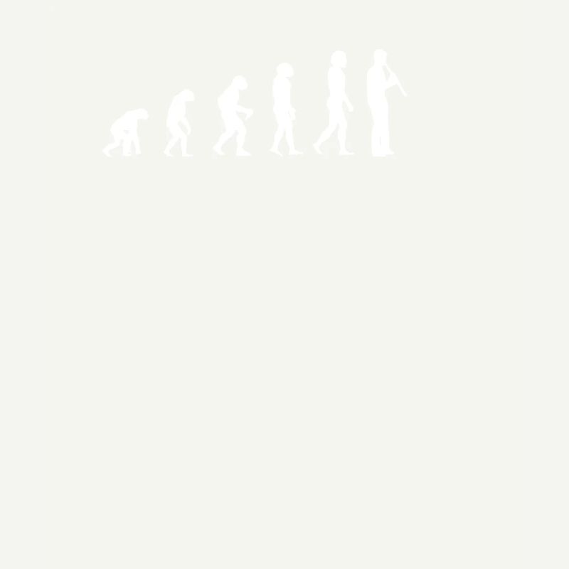 evolution of clarinet