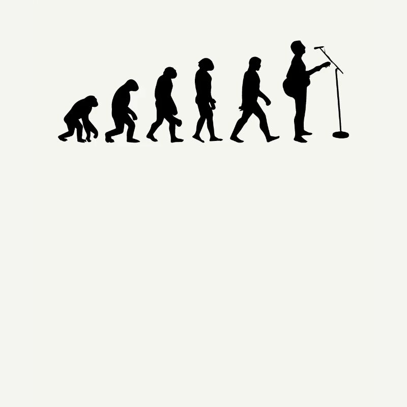 Évolution Du Guitare