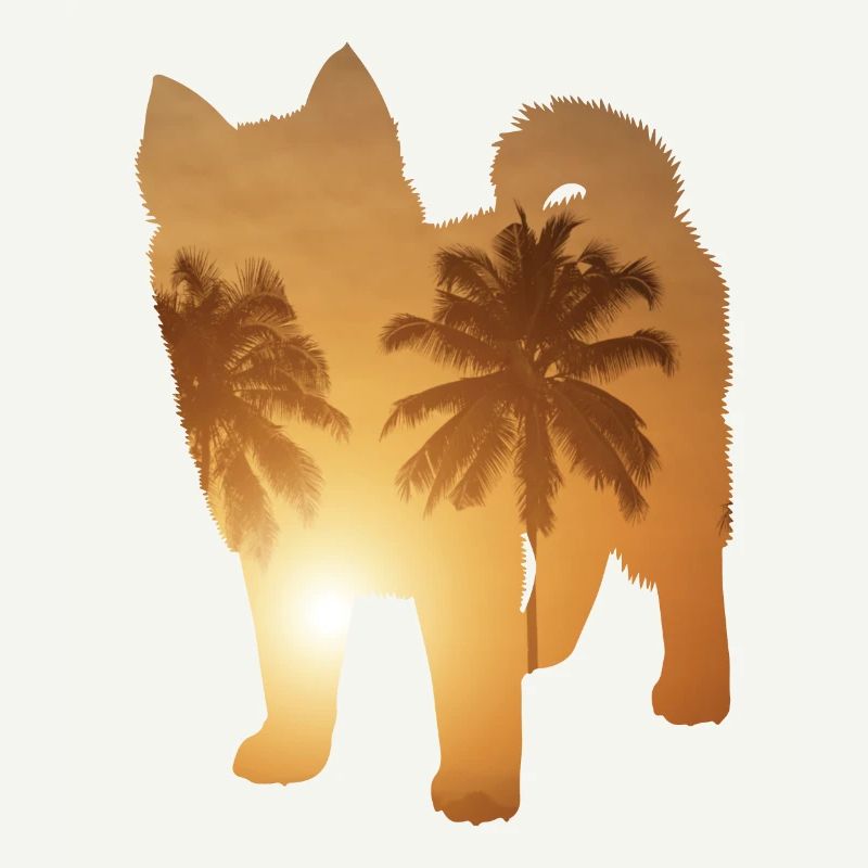 Plage d’été - Pomsky