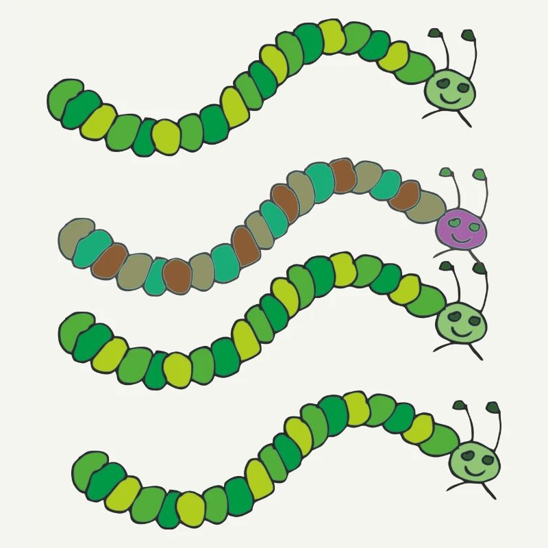 variété de chenille