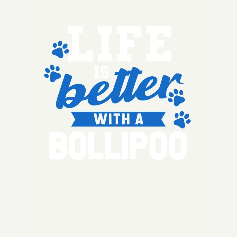 Bollipoo