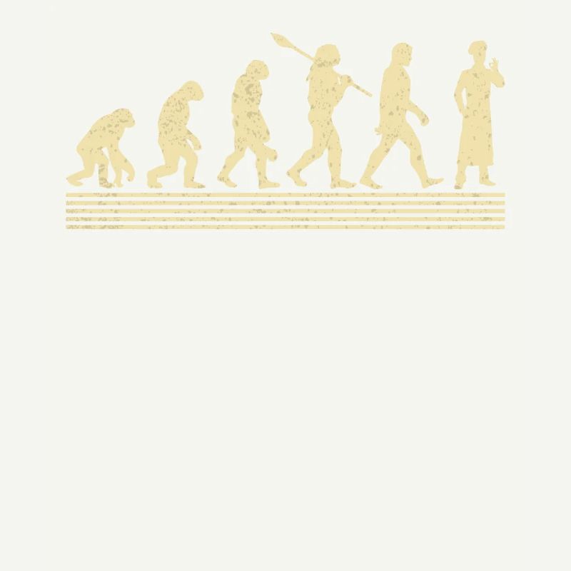 Évolution de Koch