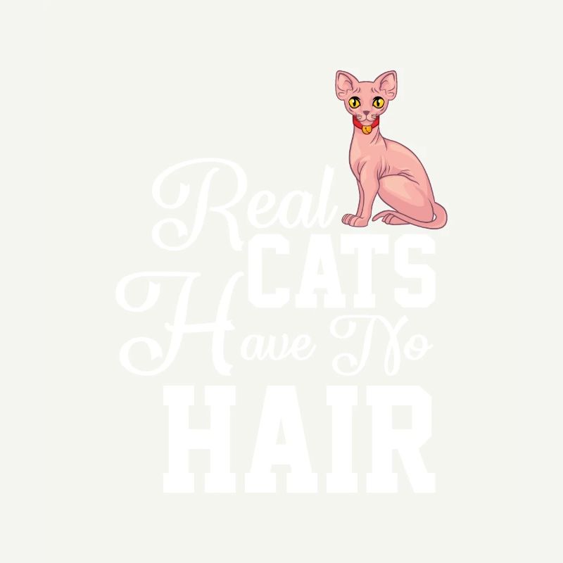 Sphynx Cat 1