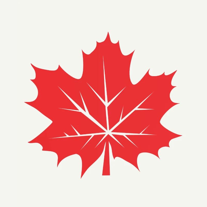Feuille d’érable Feuille Canada Arbre