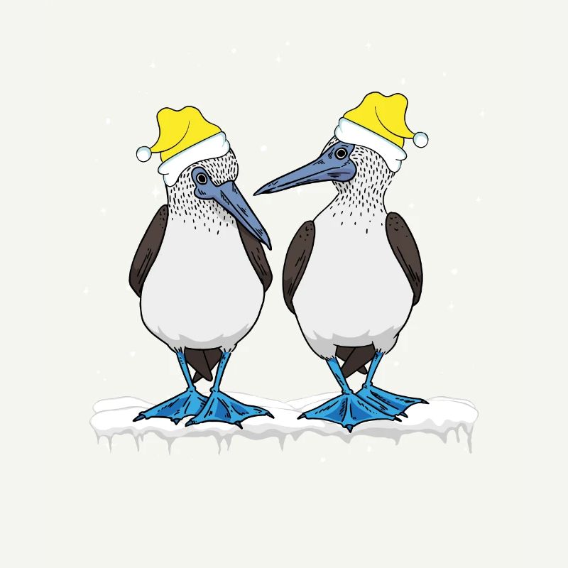 Seabirds Blue-footed