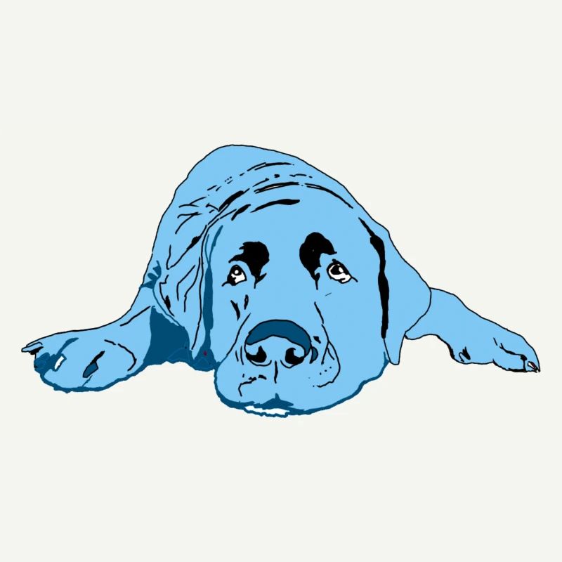 Labrador