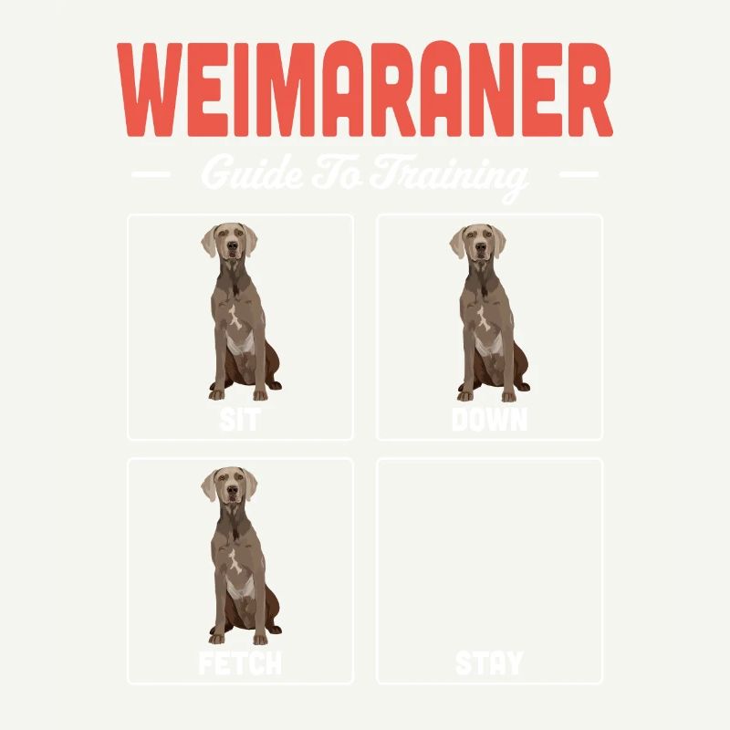 Weimaraner