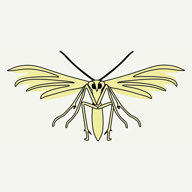 Feather moth
