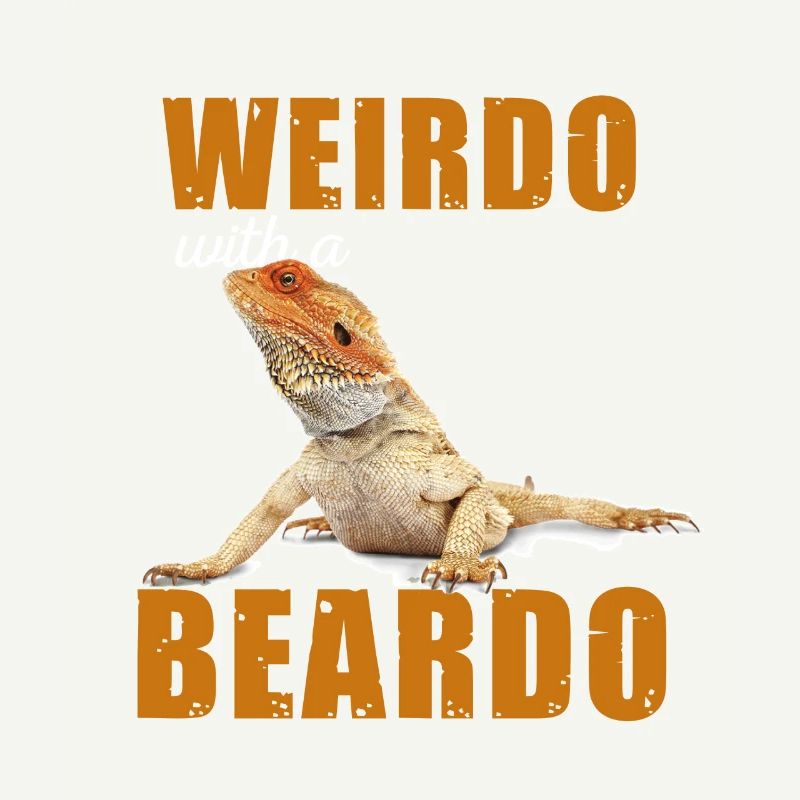 Reptilien Wierdo With a Beardo Iguana Bartagame