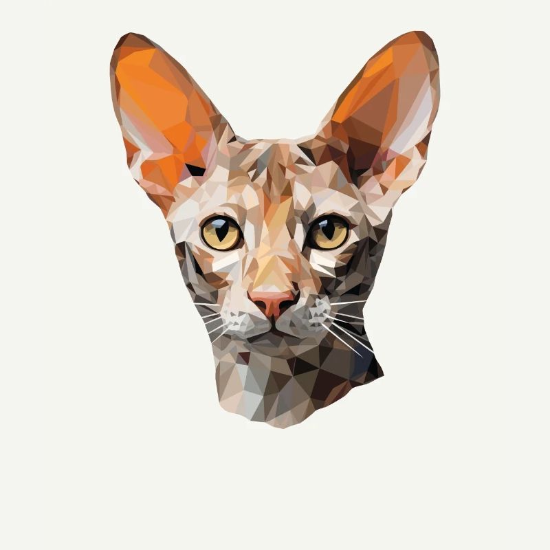 Cornish Rex Cat